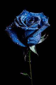 images (55)